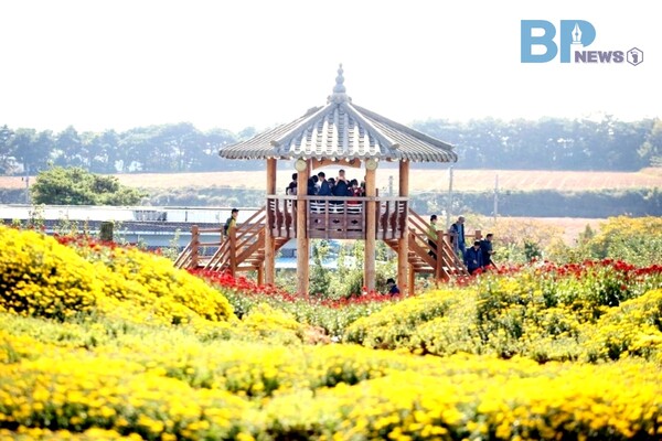 출처: 한국관광공사 (국화 축제)