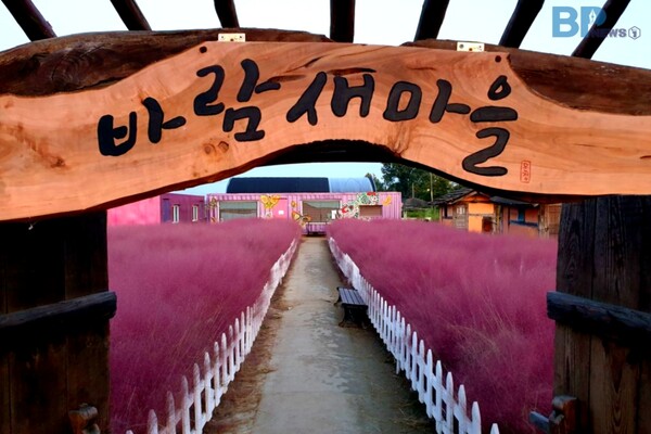출처 = 바람새마을 홈페이지