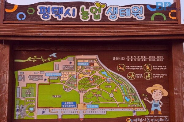 출처 = 온라인 커뮤니티(평택시 농업 생태원)