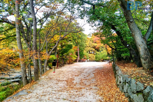 출처: 미리캔버스 (경주 가볼만한 곳)