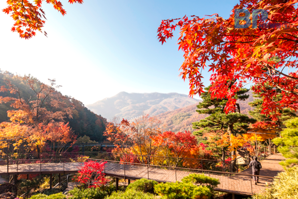 출처: 한국관광공사 (경기도 가볼만한 곳)