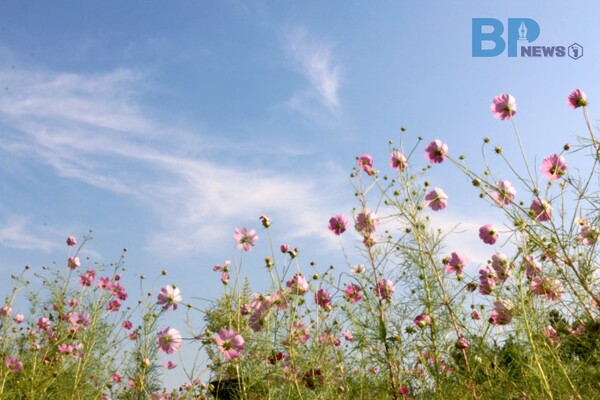 출처: 경기문화재단 (경기도 가볼만한 곳)