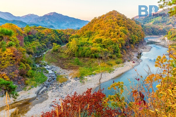 출처: 게티이미지뱅크 (단풍 드라이브)