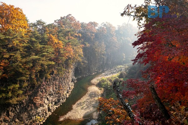 출처: 게티이미지뱅크 (단풍 드라이브)