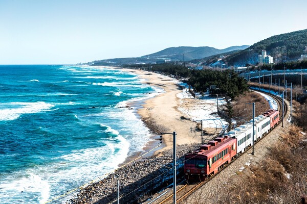 출처: 게티이미지뱅크 (국내 테마 기차여행)