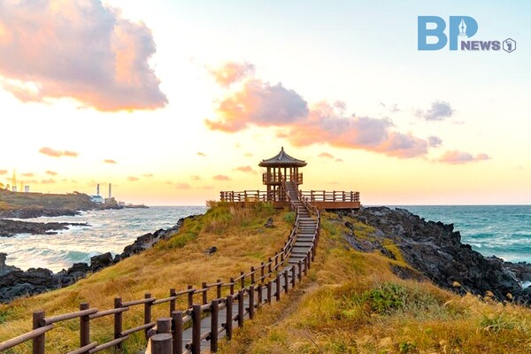 출처: 한국관광공사 이수진 (제주도 억새 명소)