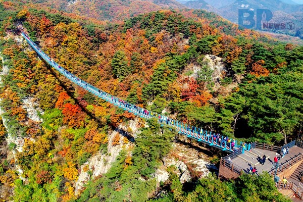 출처: 원주시청 (11월 가볼만한 곳)