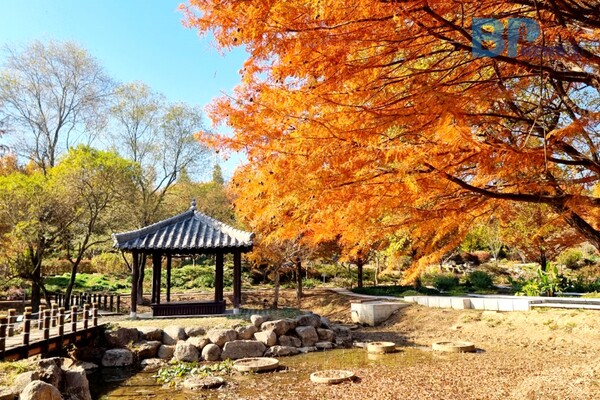 출처: 전라북도문화관광 (11월 가볼만한 곳)