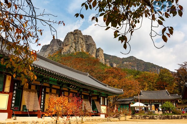 출처 = 경북나드리