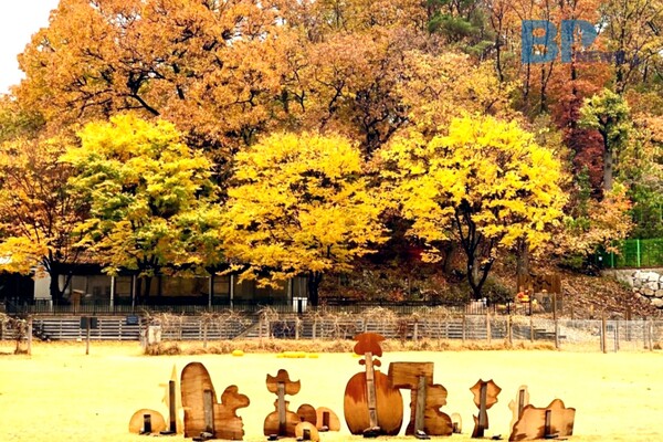 출처: 헤세의정원 리뷰 (단풍 명소 카페)