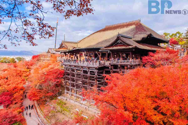출처: 게티이미지뱅크 (일본 11월 여행)