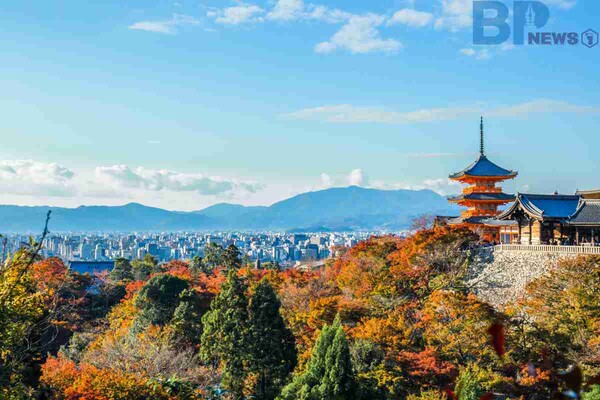 출처: 게티이미지뱅크 (일본 11월 여행)