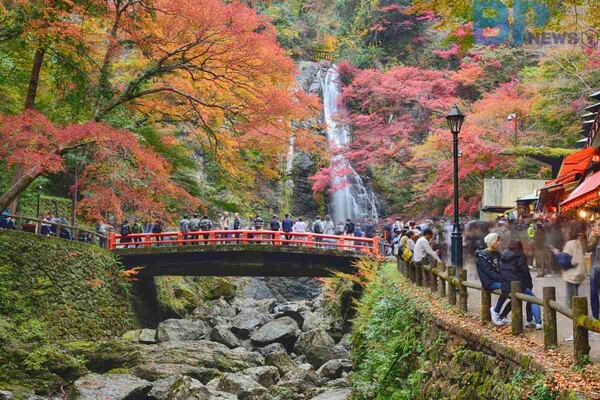 출처: 게티이미지뱅크 (일본 11월 여행)
