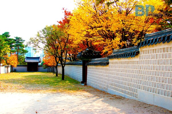 출처: 게티이미지뱅크 (11월 서울 단풍 명소)