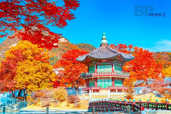 출처: 게티이미지뱅크 (11월 서울 단풍 명소)