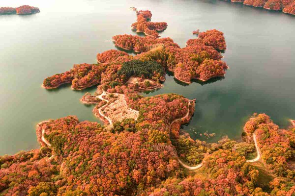 출처: 게티이미지뱅크 (11월 걷기 여행)