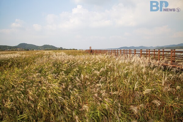 출처 = 게티이미지뱅크