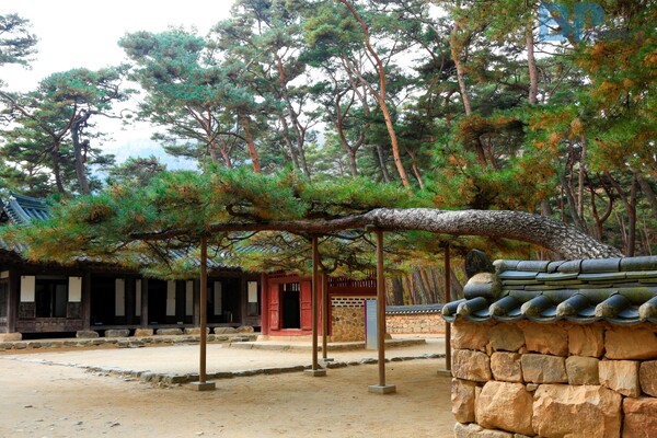 출처 = 게티이미지뱅크