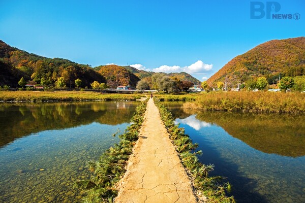 출처 = 게티이미지뱅크