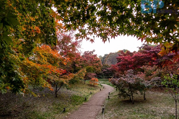 출처: 경기관광공사 (경기도 11월 당일치기 여행)
