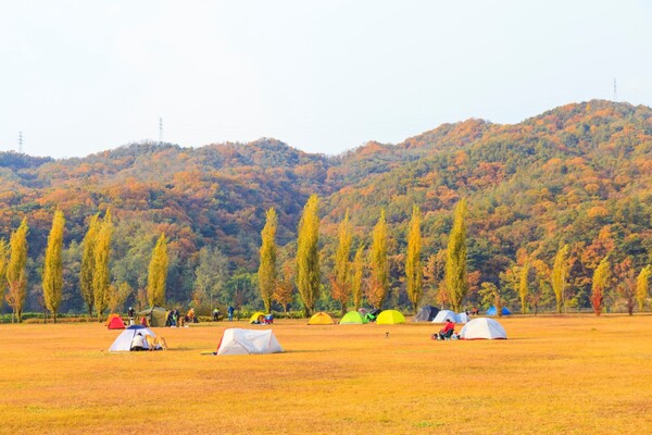 출처: 게티이미지뱅크 (경기도 11월 당일치기 여행)