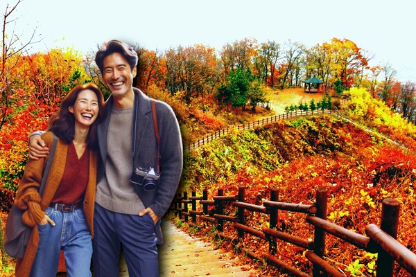 내용의 이해를 돕기 위해 DALL-E3로 제작된 이미지 & 온라인 커뮤니티