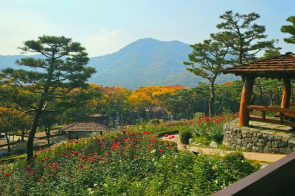 출처 = 온라인 커뮤니티