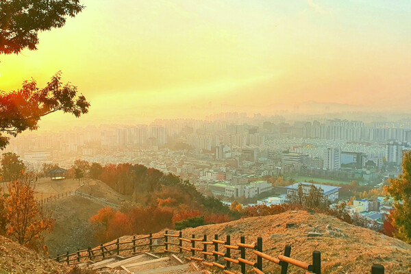 출처 = 온라인 커뮤니티