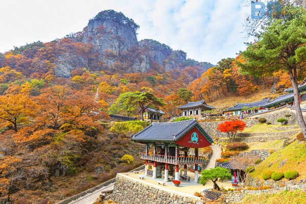 출처 = 게티이미지뱅크