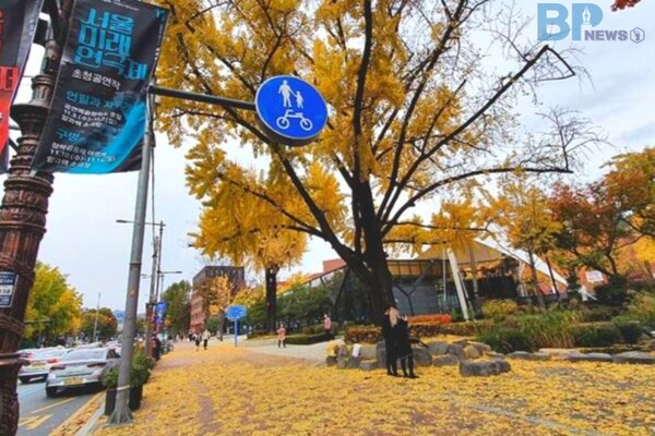 출처 = 서울시