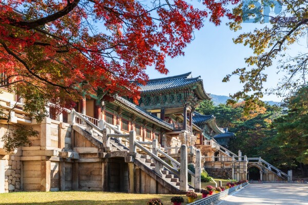 출처: 게티이미지뱅크 (11월 걷기 여행 명소)