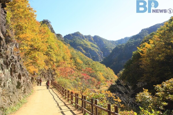 출처: 게티이미지뱅크 (11월 걷기 여행 명소)