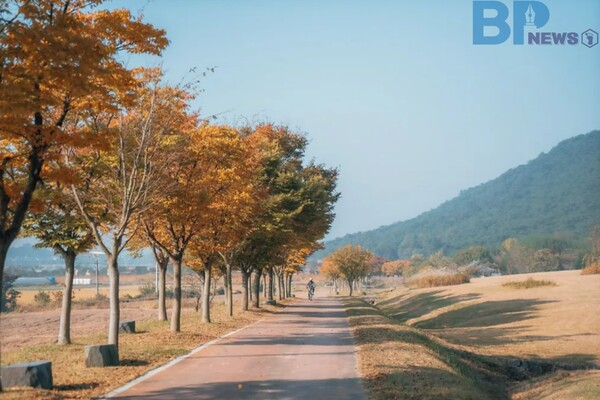 출처: 한국관광공사 (11월 걷기 여행 명소)