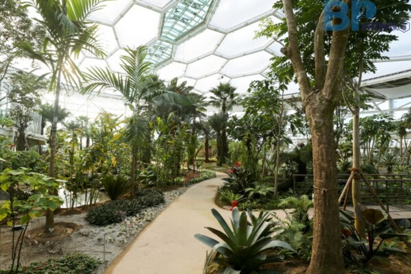 출처: 부천시 (식물원 카페)