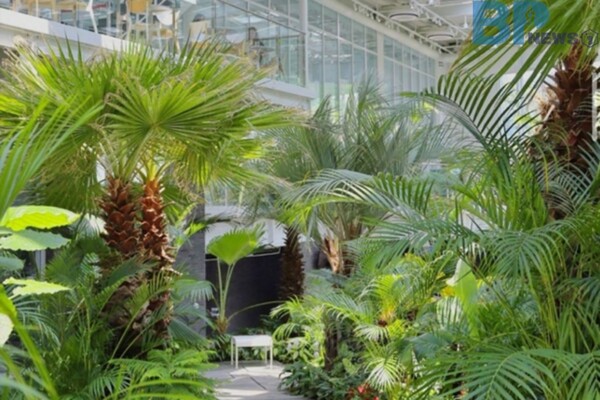 출처: 문지리535 SNS (식물원 카페)