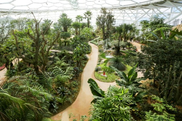 출처: 부천시 (식물원 카페)