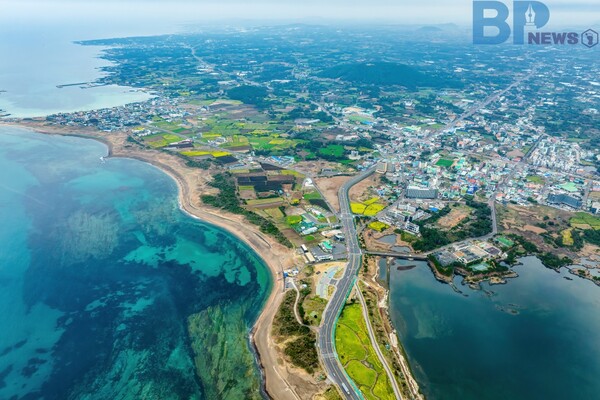 출처: 게티이미지뱅크 (제주도 관광 근황)