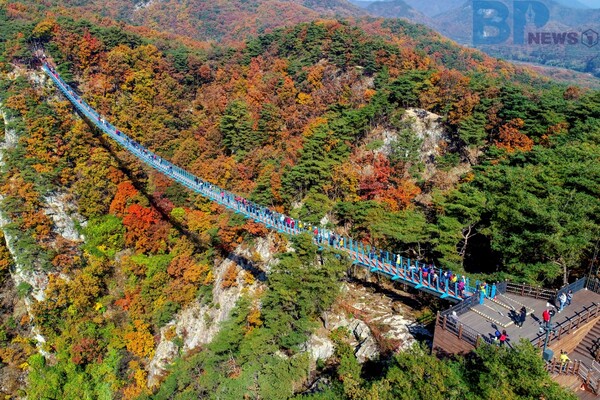 출처: 원주관광 (소금산 그랜드밸리 여행)