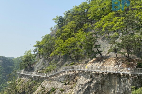 출처: 원주관광 (소금산 그랜드밸리 여행)