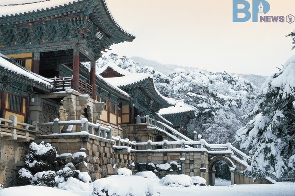 출처: 게티이미지뱅크 (경주 설경 명소)