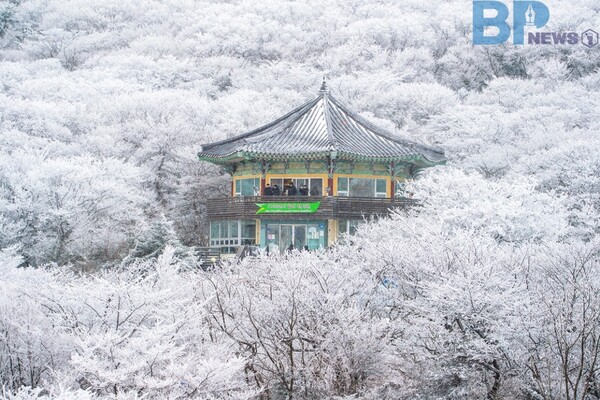 출처: 제주관광공사 (한라산 1100도로 휴게소)
