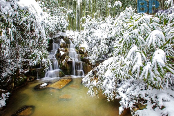 출처: 게티이미지뱅크 (전남 담양 겨울여행)