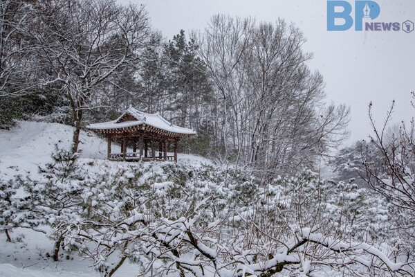 출처: 게티이미지뱅크 (전남 담양 겨울여행)