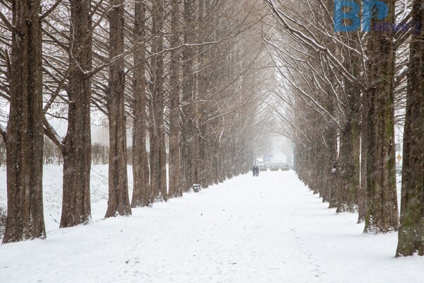 출처: 게티이미지뱅크 (전남 담양 겨울여행)