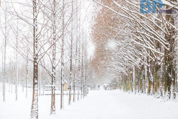 출처: 게티이미지뱅크 (전남 담양 겨울여행)