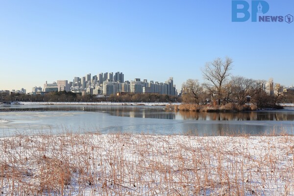 출처: 게티이미지뱅크 (수원시 겨울 설경 명소)