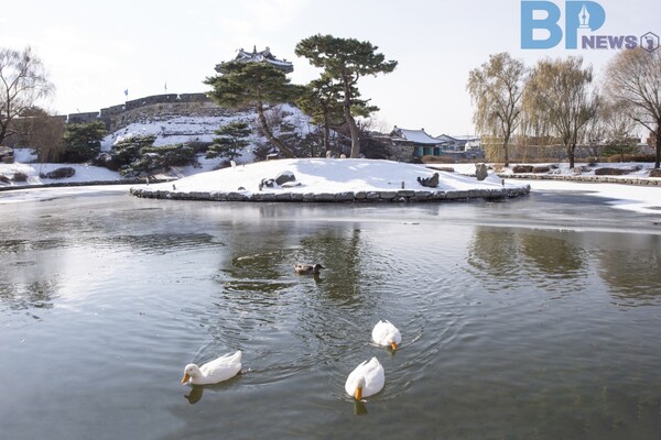 출처: 게티이미지뱅크 (수원시 겨울 설경 명소)