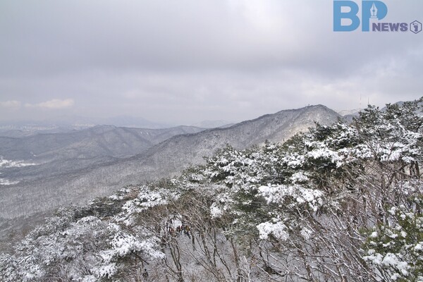 출처: 게티이미지뱅크 (수원시 겨울 설경 명소)