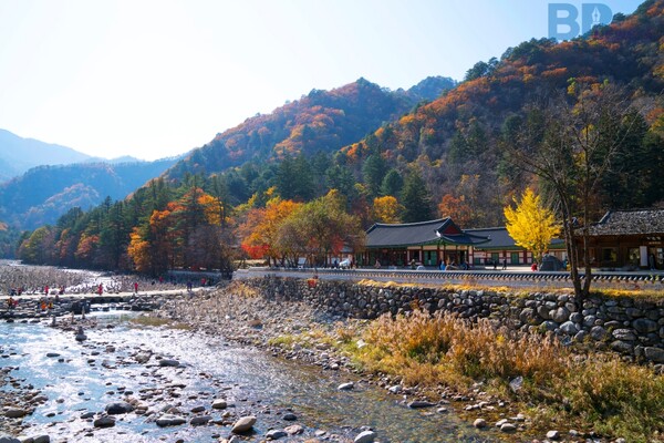 출처 = 게티이미지뱅크