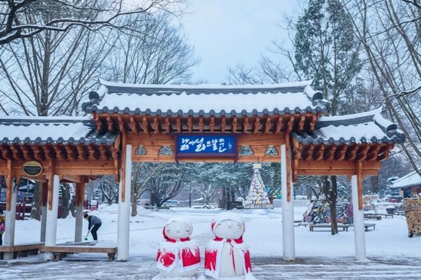 사진 출처 = 남이섬 instagram